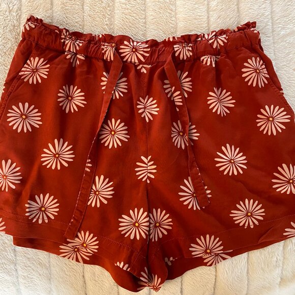 Madewell Shorts, Size M. - Picture 2 of 5